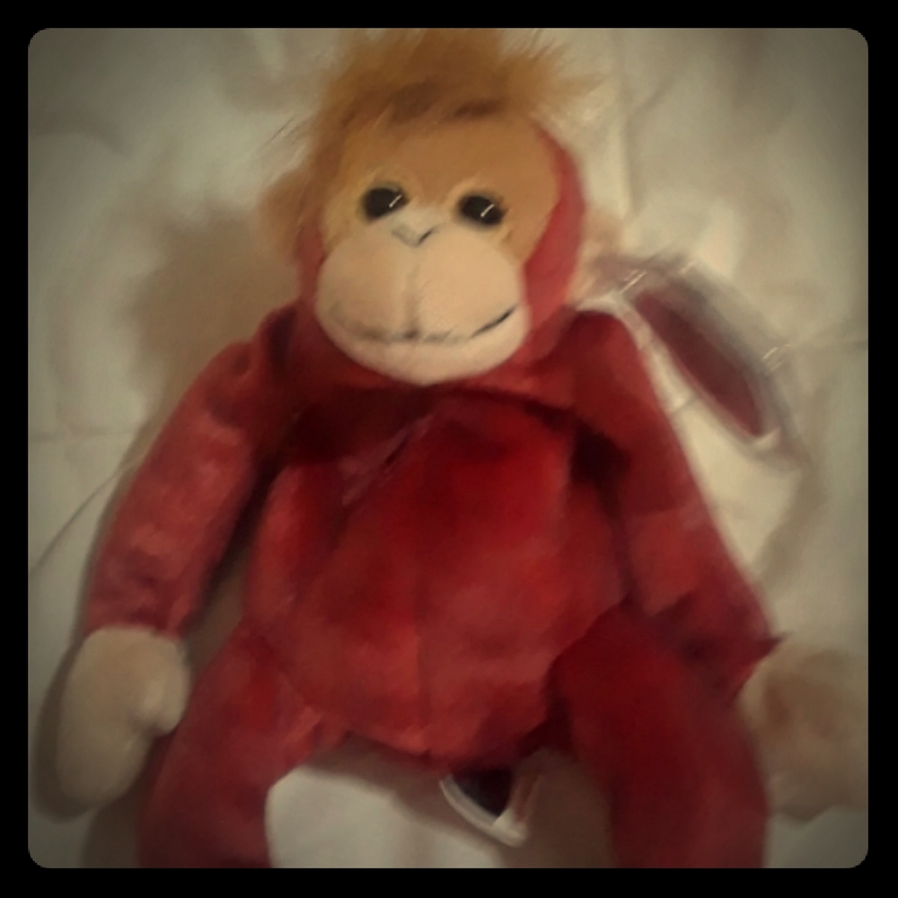 Schweetheart beanie baby